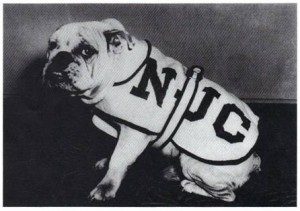 Beauregard I, the first Bulldog Mascot Beauregard I, the first Bulldog Mascot