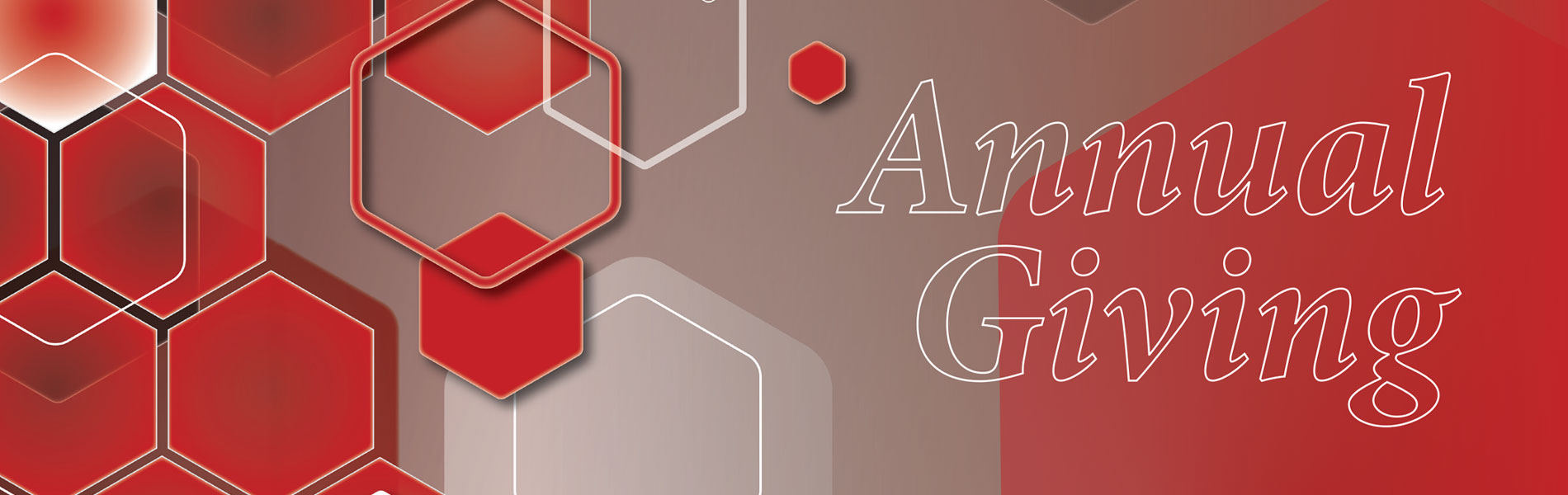 Annual Giving Annual Giving with red and white hexagon images