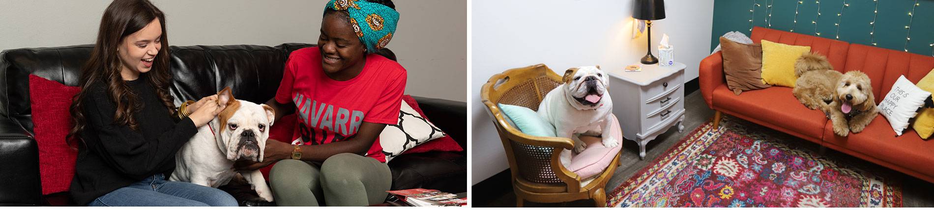 Beau VII image of NC bulldog mascot: Beau VII sitting on the couch with students and another dog friend