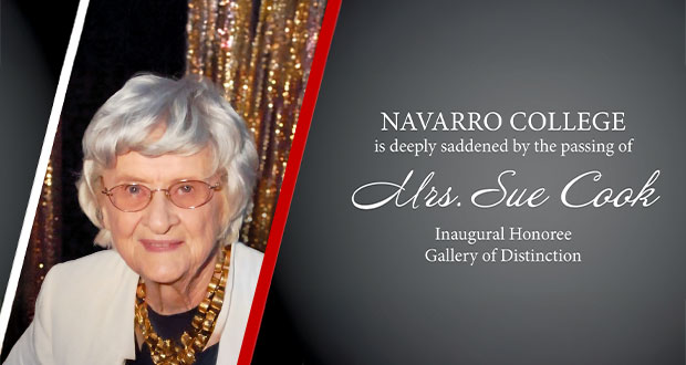 Sue Cook headshot of Sue Cook