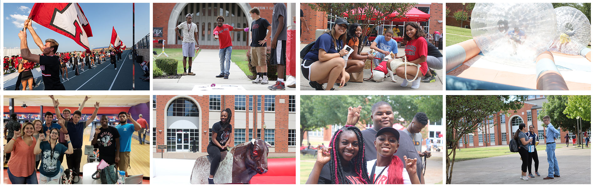 活动及组织 Collage of students in various events