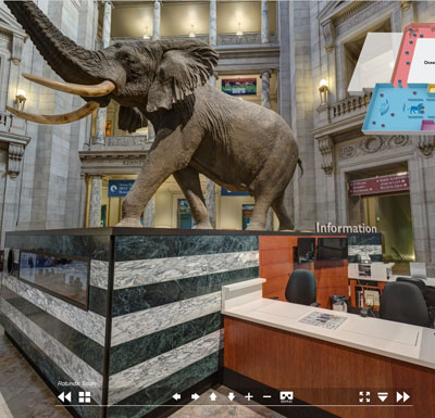 虚拟活动 Video screenshot of inside a Natural History Museum - elephant in the middle of the room