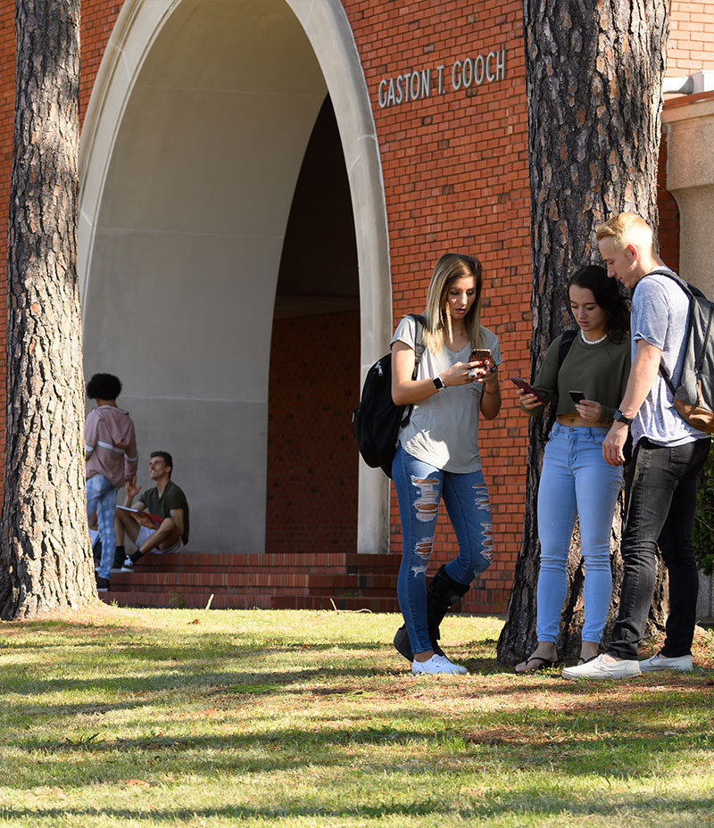 转换 A group of students standing under a tree, reading their text messages on cell phone