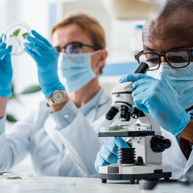 Biology Biology program student looking at a specimen through a microscope
