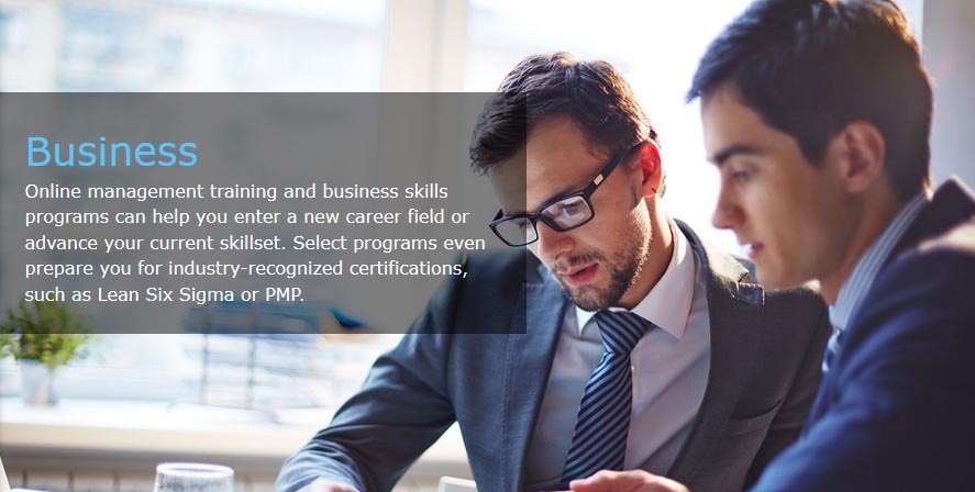 Online Business Business advertisement