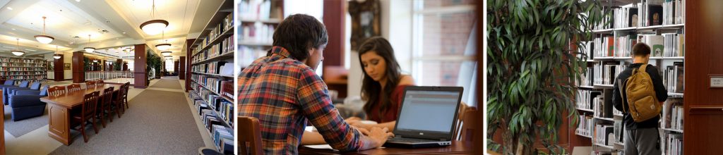 图书馆 three-picture collage showcasing the library