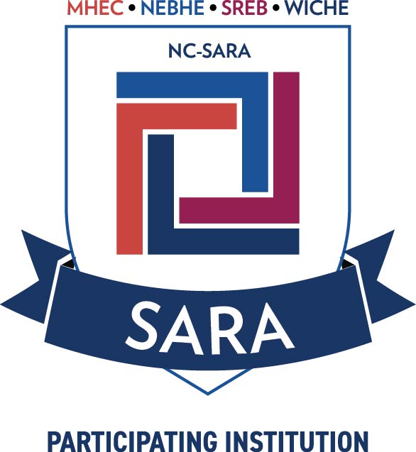 Sara Seal Group 2024 Sara Seal Group 2024 logo