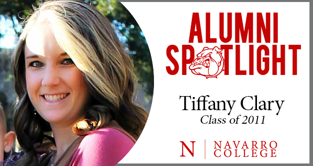 蒂芙尼鼠尾草属的植物